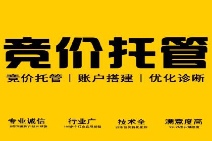 SEM外包公司案例：打造个性化营销方案